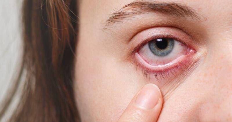 Freepik/User18526052